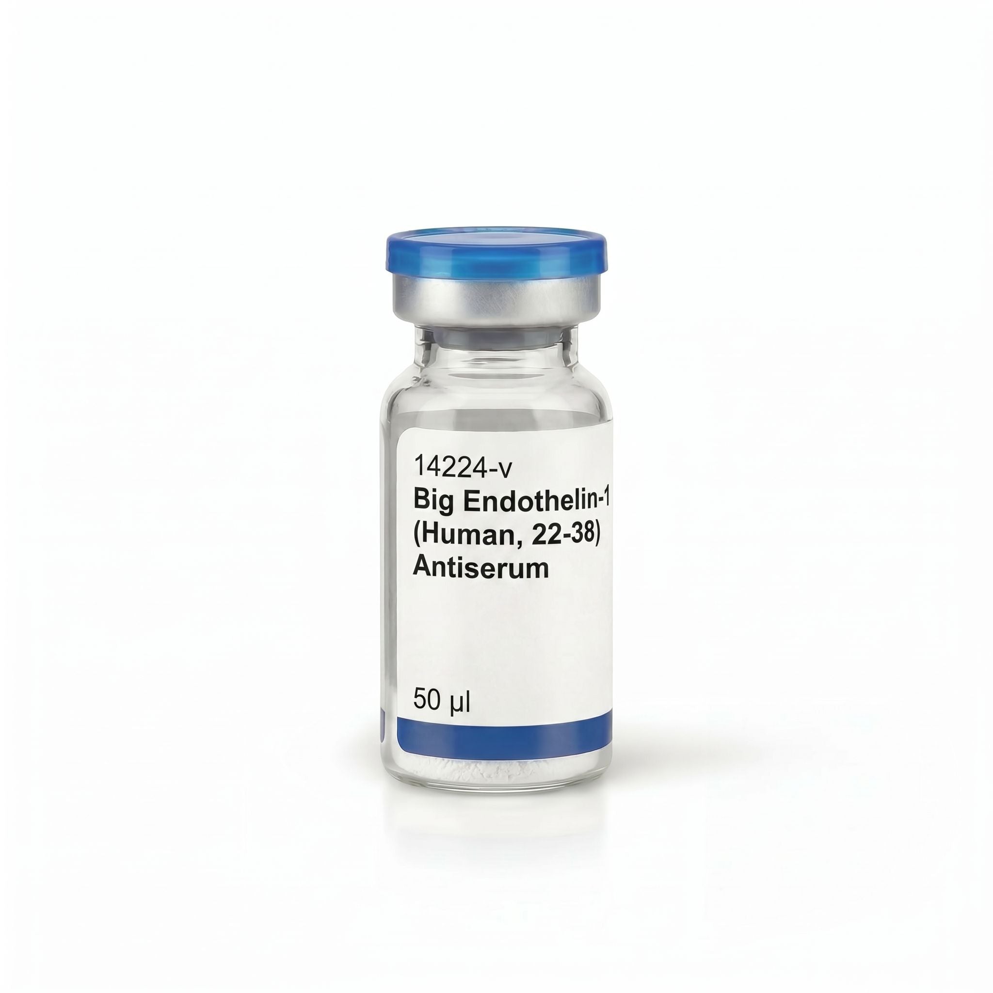 Big Endothelin-1 (Human, 22-38) Antiserum