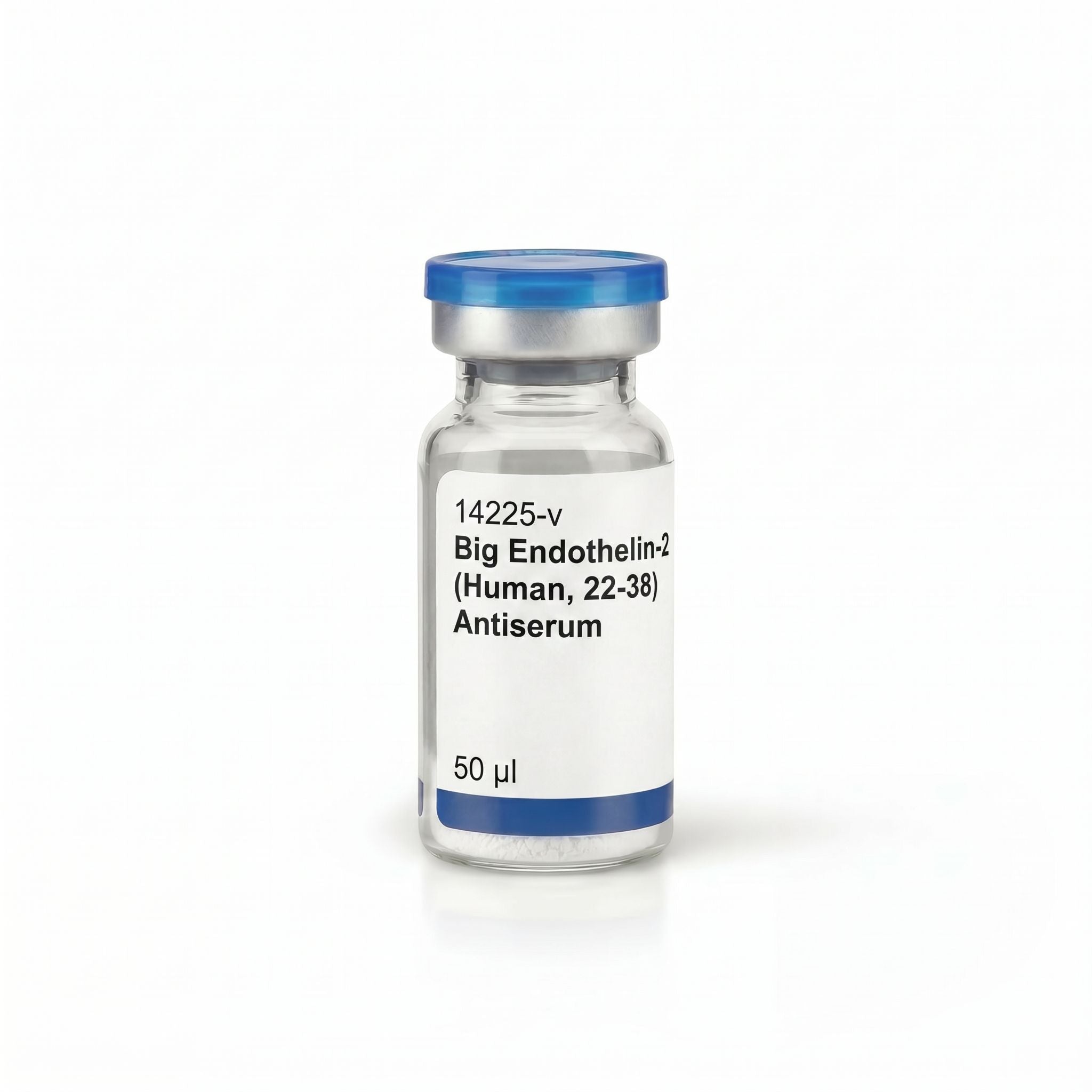 Big Endothelin-2 (Human, 22-38) Antiserum