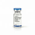 Big Endothelin-3 (Human, 22-41 Amide) Antiserum