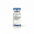 Big Endothelin-2 (Human, 22-37) Antiserum