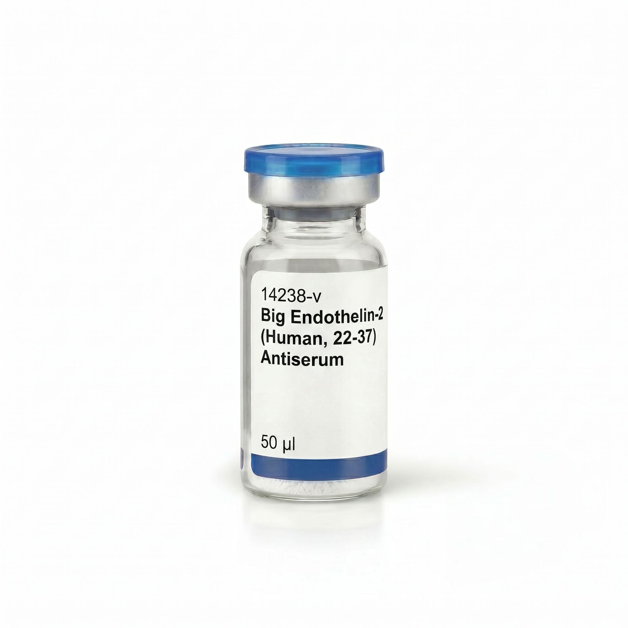 Big Endothelin-2 (Human, 22-37) Antiserum
