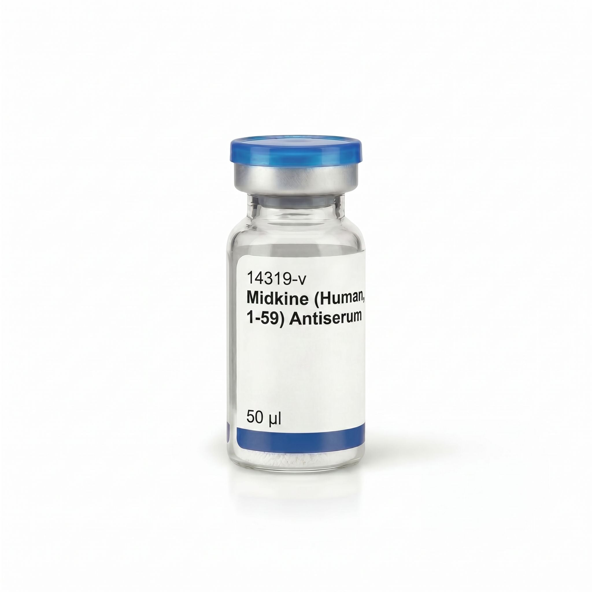 Antisérum de Midkine (Humain, 1-59)