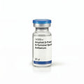 Amyloid β-Protein N-Terminal Specific Antiserum