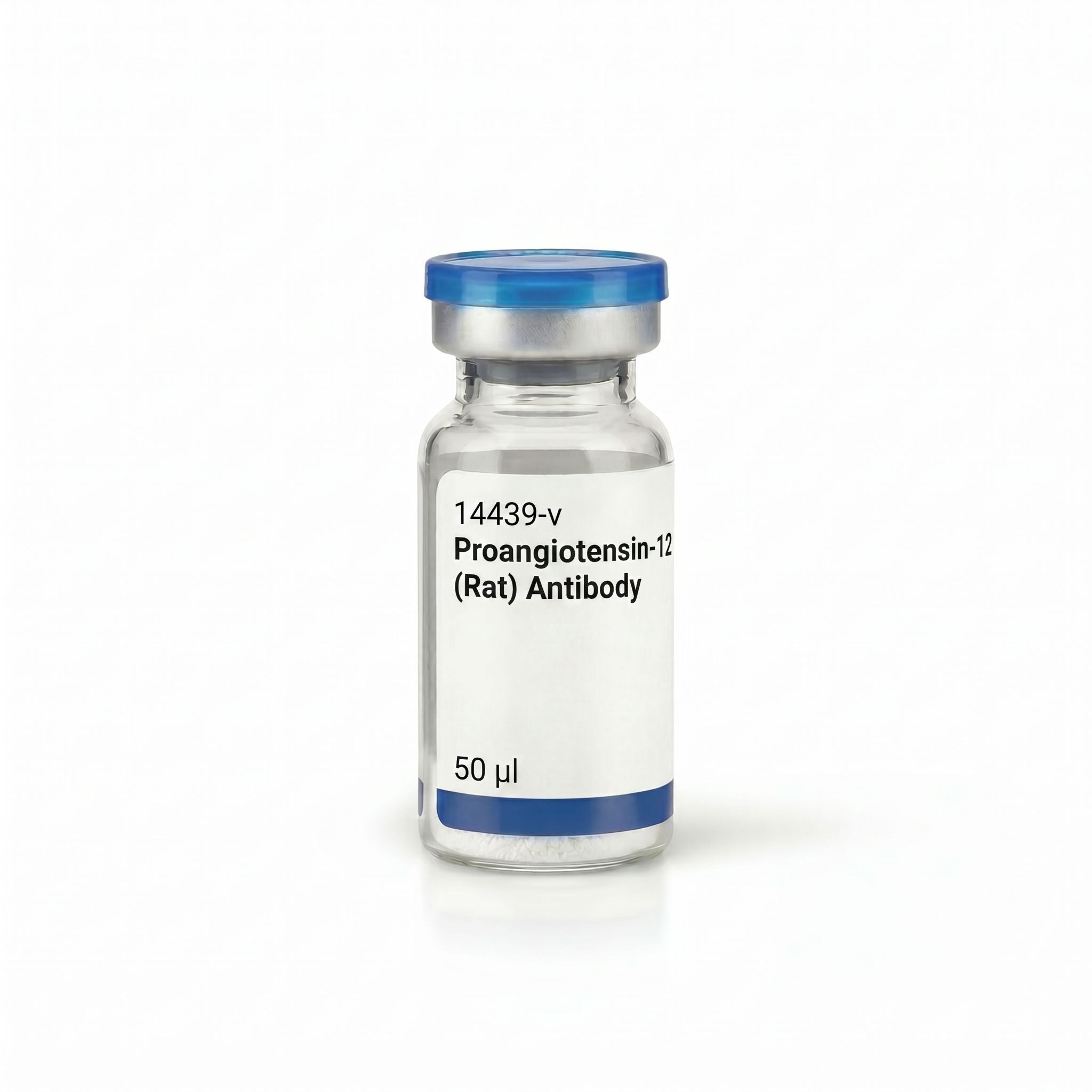 Proangiotensin-12 (Rat) Antibody
