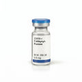 7-Alkynyl-Fucose