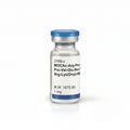 MOCAc-Arg-Pro-Lys-Pro-Val-Glu-Nva-Trp-Arg-Lys(Dnp)-NH2