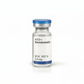 Somatostatin