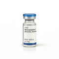 Neuropeptide Y (Porcine, Bovine)