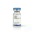CGRP (Human, 8 – 37)