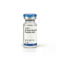 β-Sheet Breaker Peptide iAβ5