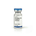 Glucagon-like Peptide 2 (Human)