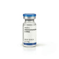 Adrenomedullin 2 (Rat)