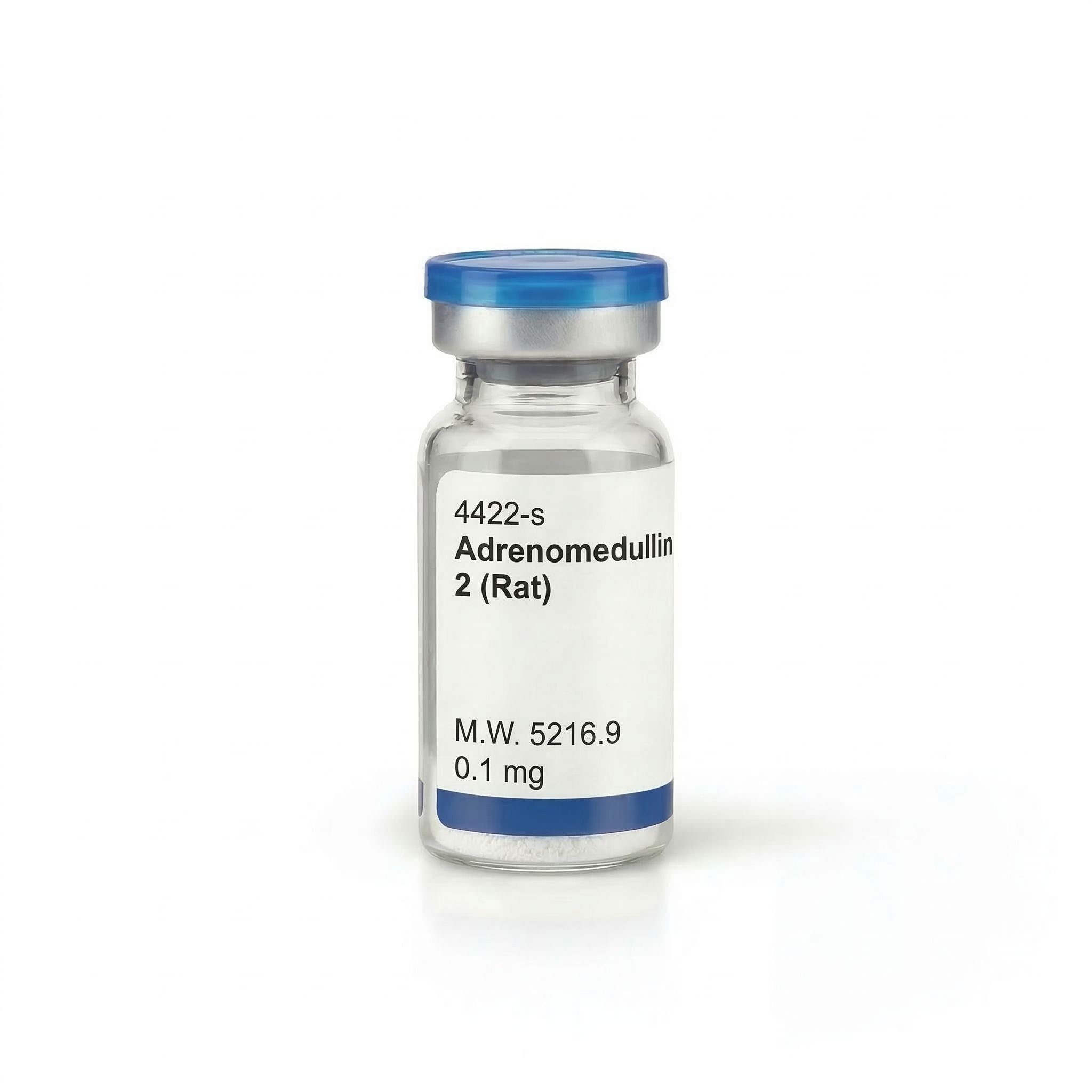 Adrenomedullin 2 (Rat)