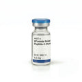 RFamide Related Peptide-3 (Humain)