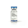 Amyloid beta-Protein (Human, 11 – 40)