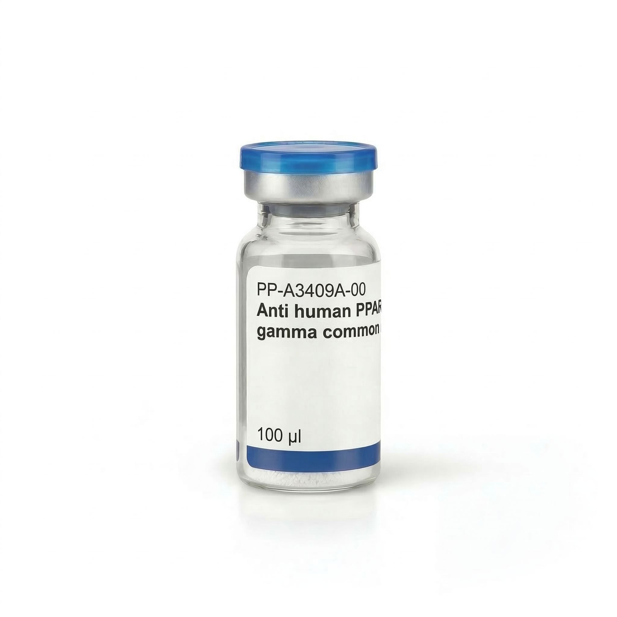 Anti human PPAR gamma common