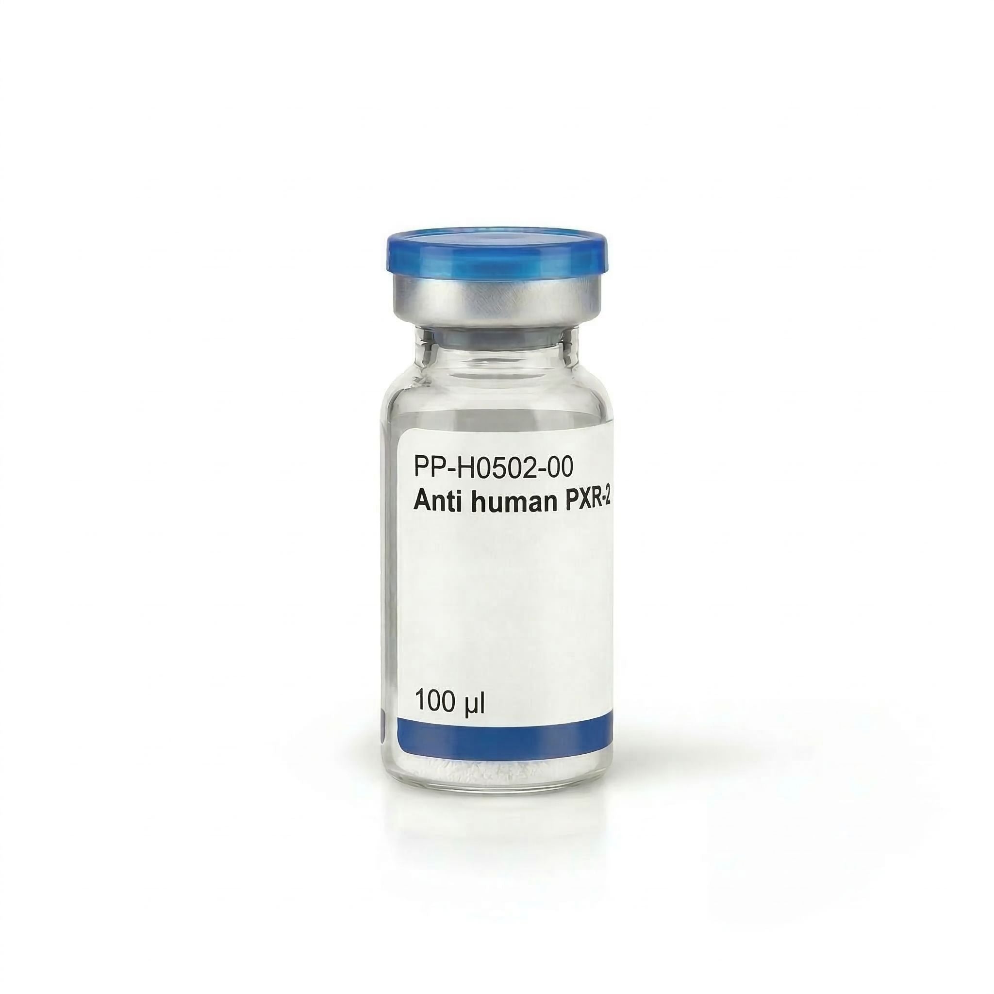 Anti human PXR-2