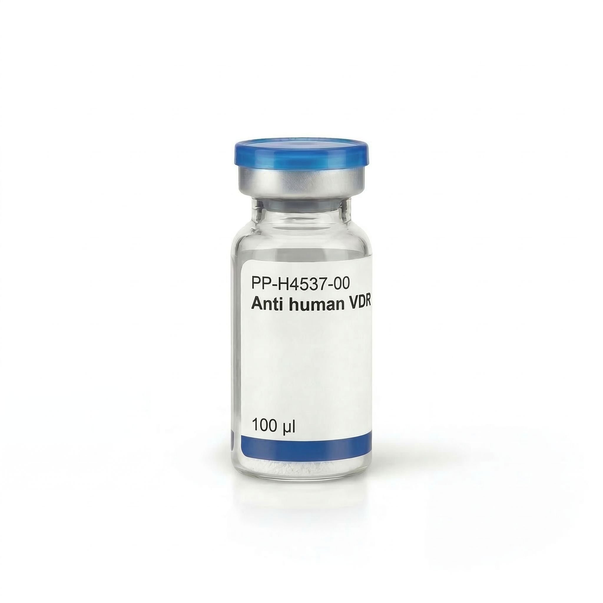 Anti human VDR