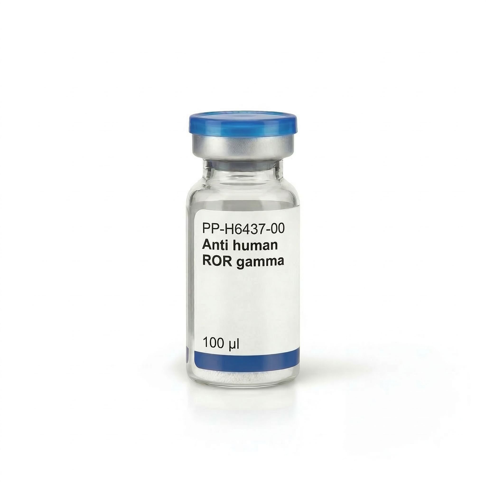 Anti human ROR gamma