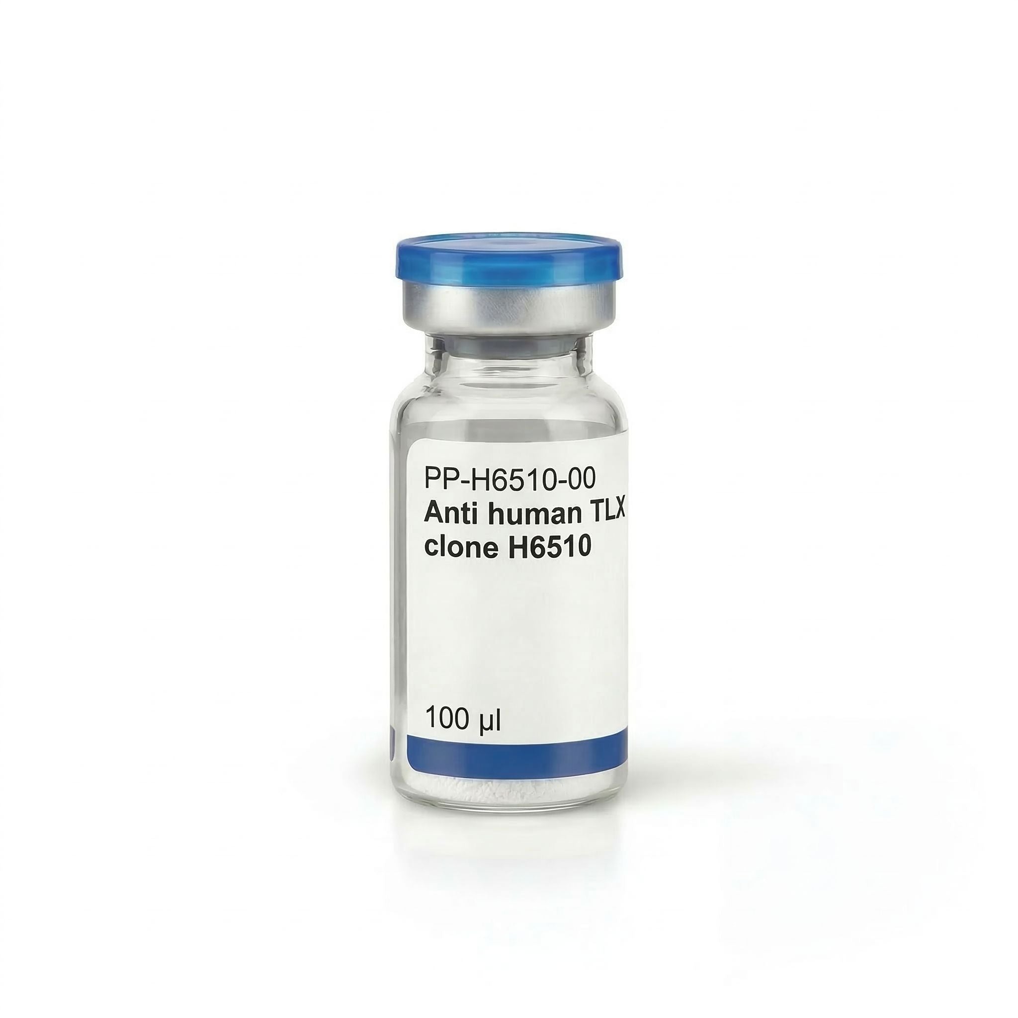 Anti human TLX clone H6510