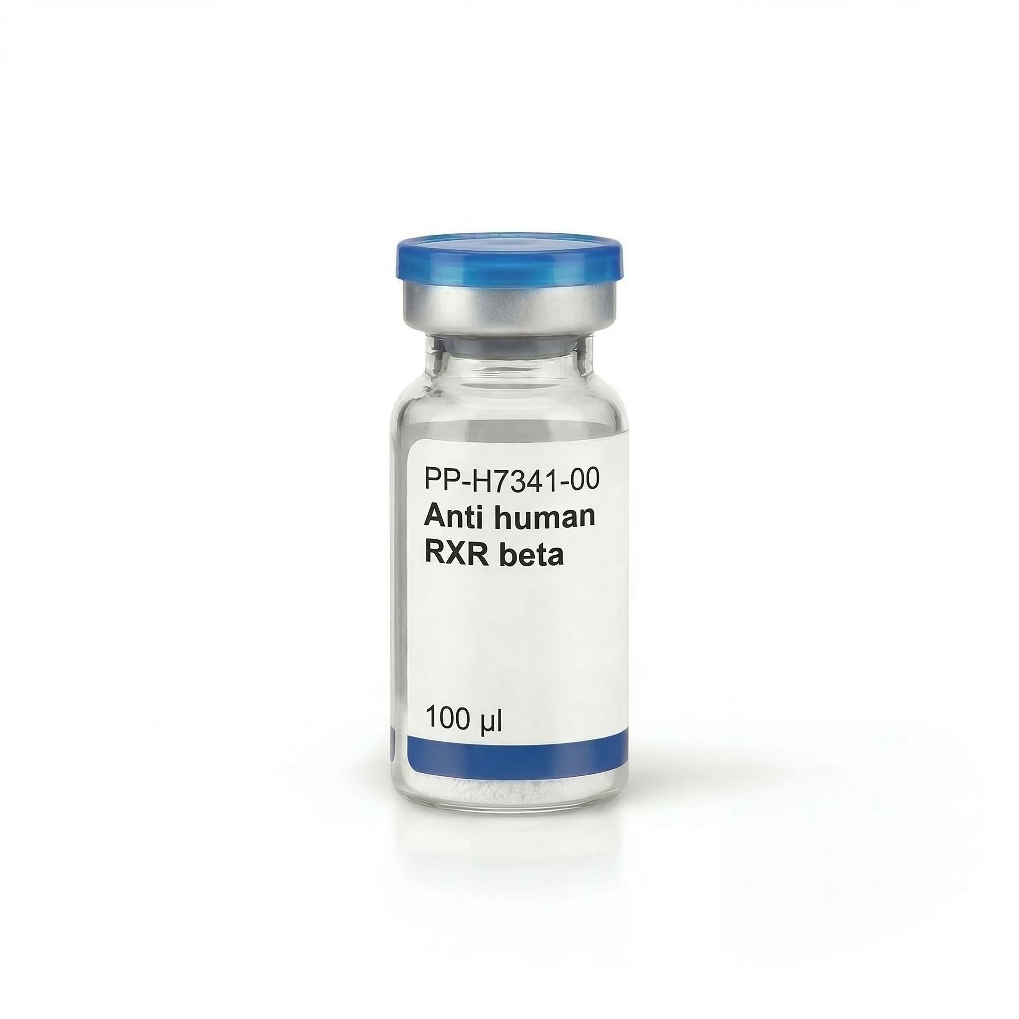 Anti human RXR beta