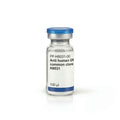 Anti human GR common clone H8031