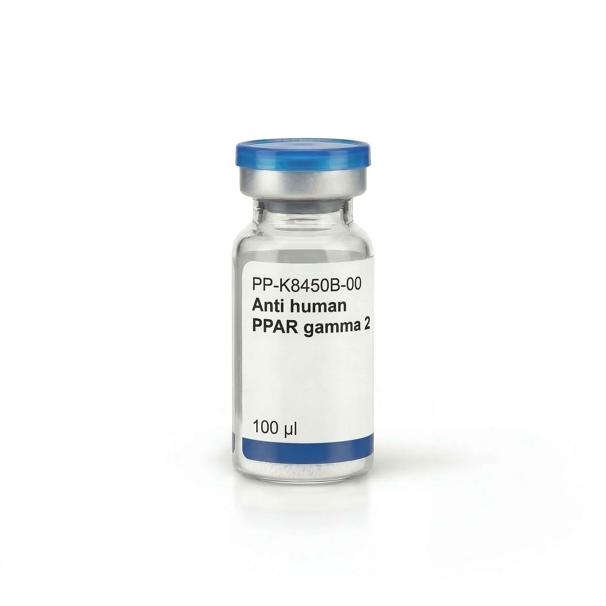 Anti human PPAR gamma 2