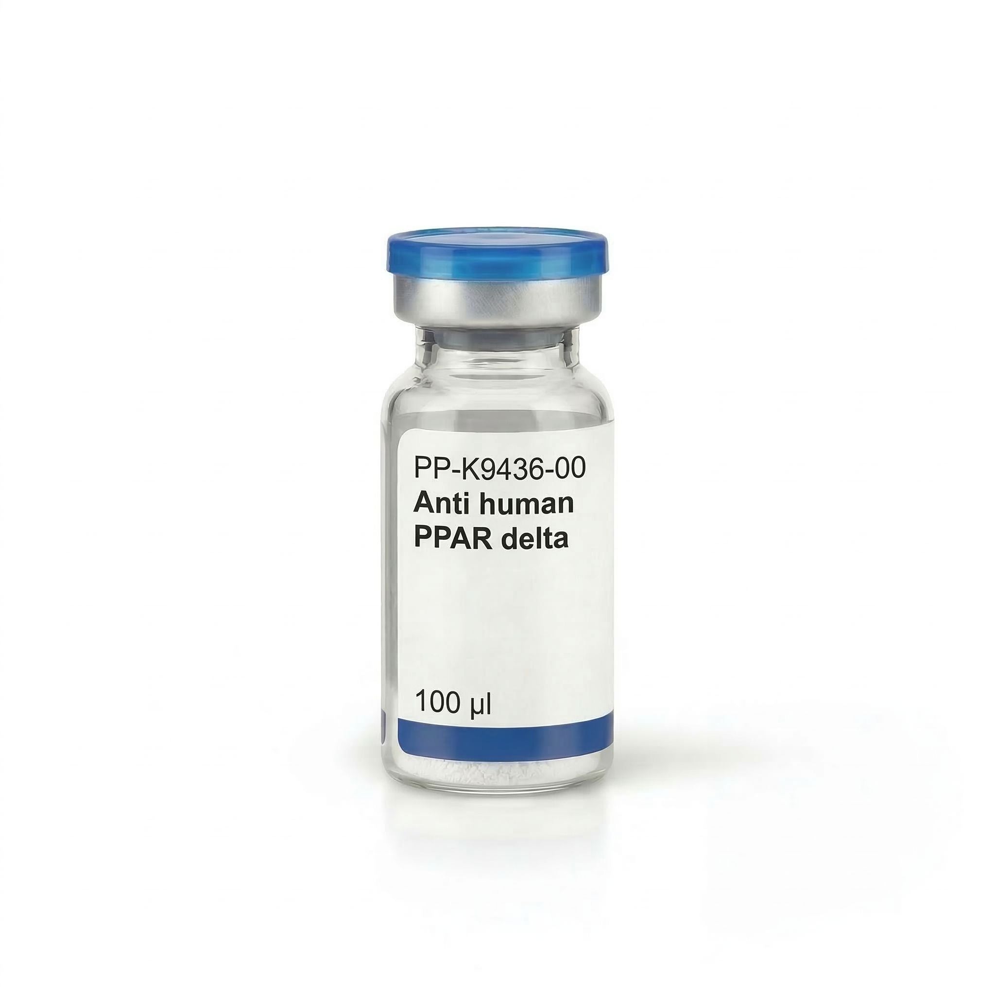 Anti human PPAR delta