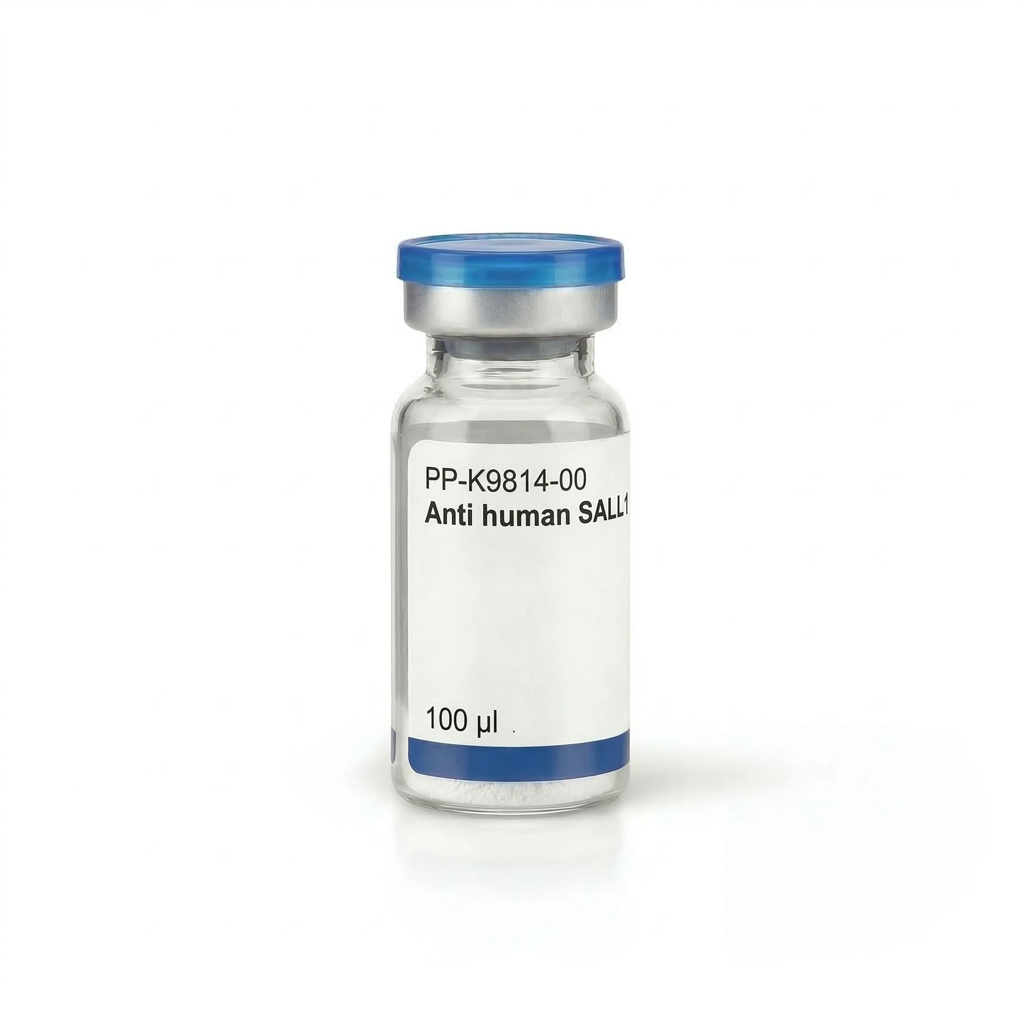 Anti human SALL1