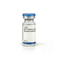 NPY (Human, Rat, Mouse) Antiserum
